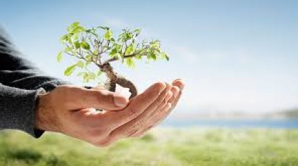 Vizyonumuz&Misyonumuz